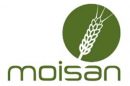 moisan
